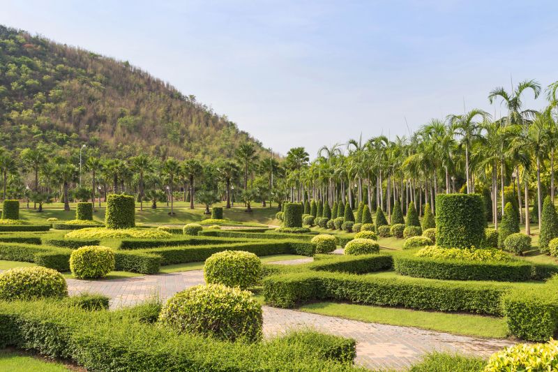 Aesthetic Enhancement