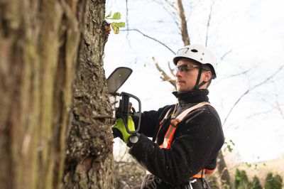 Tree Care Professionals